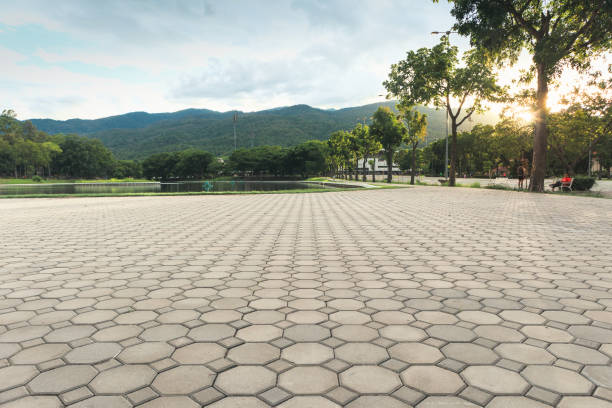 Best Professional Driveway Pavers  in South Roxana, IL